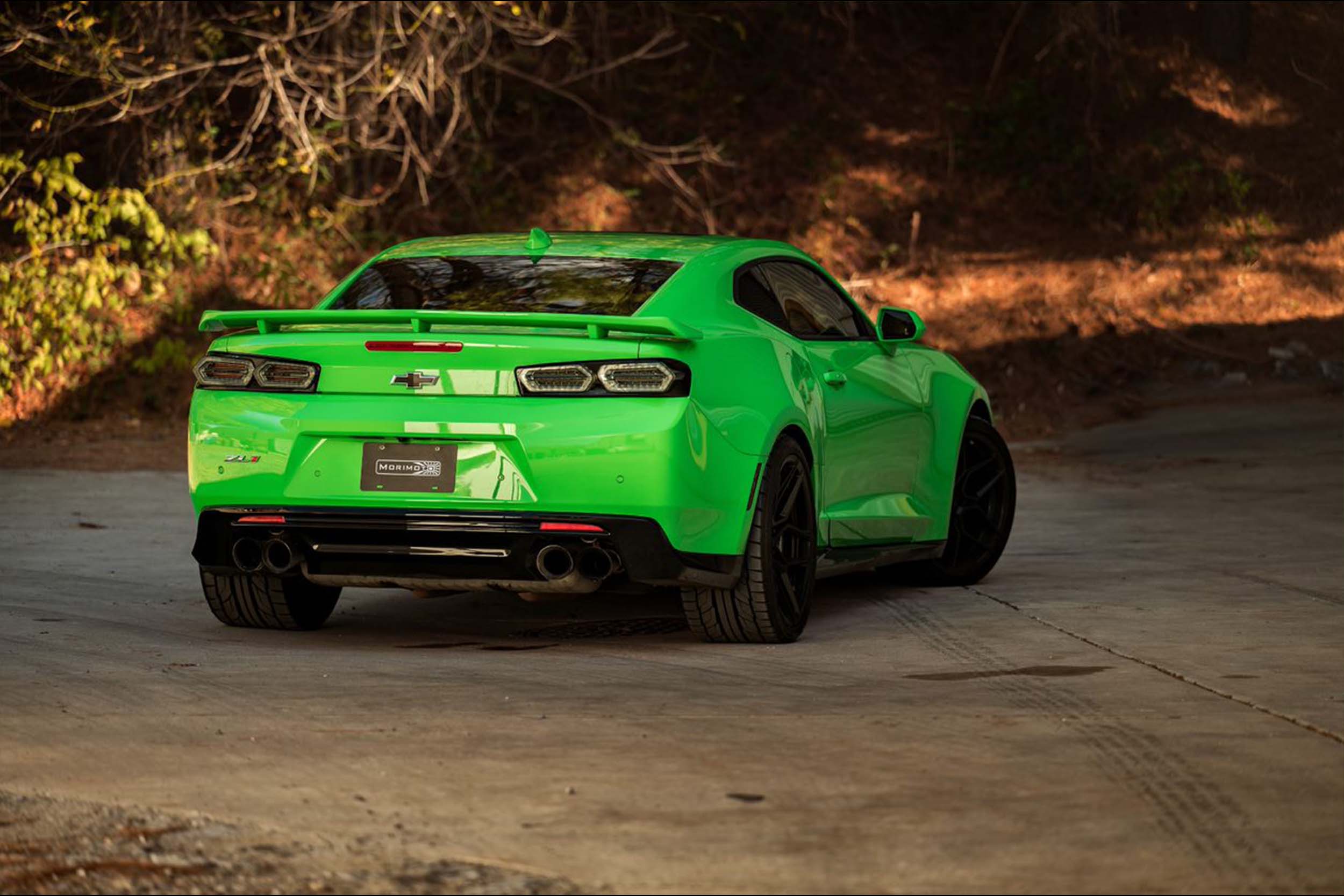 Camaro store rear lights